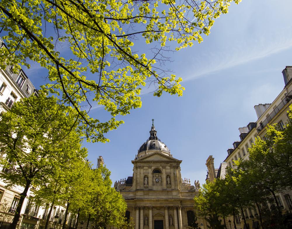 Sorbonne Management